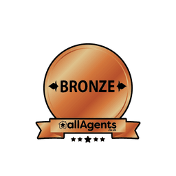 Bronze Award